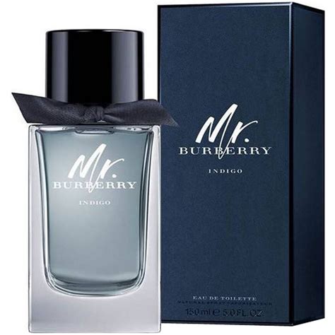 parfum mr burberry 100 ml|mr burberry indigo price.